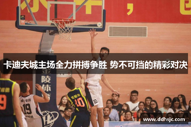 卡迪夫城主场全力拼搏争胜 势不可挡的精彩对决