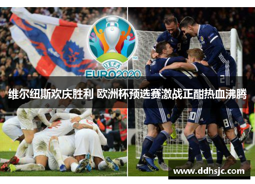 维尔纽斯欢庆胜利 欧洲杯预选赛激战正酣热血沸腾