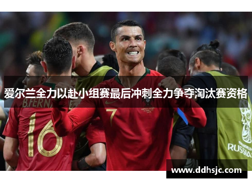 爱尔兰全力以赴小组赛最后冲刺全力争夺淘汰赛资格 爱尔兰全力以赴小组赛最后冲刺全力争夺淘汰赛资格